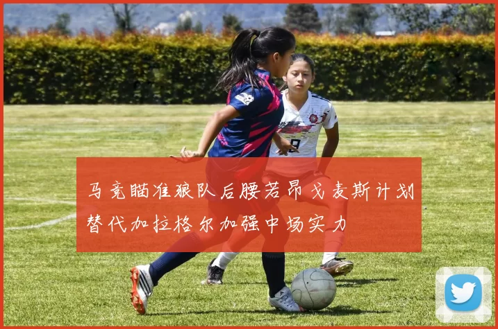 马竞瞄准狼队后腰若昂戈麦斯计划替代加拉格尔加强中场实力
